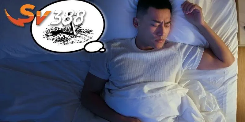 Giải mã giấc mơ chi tiết