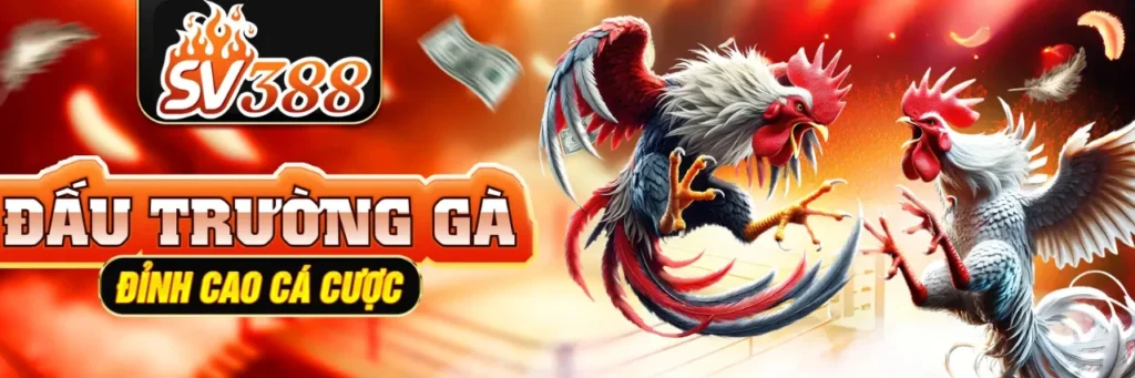 Banner 2 SV388