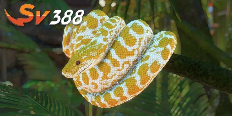 Tận dụng giấc mơ thấy rắn thắng lớn tại SV388