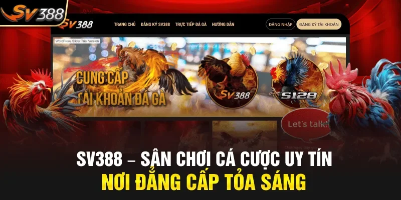 Sv388 tổng quan