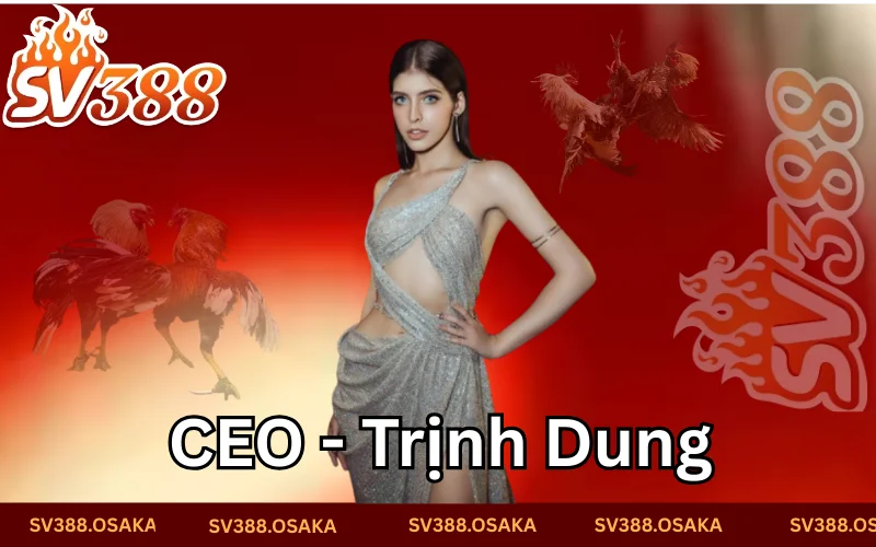 CEO Trịnh Dung cùng hành trình khởi nghiệp 