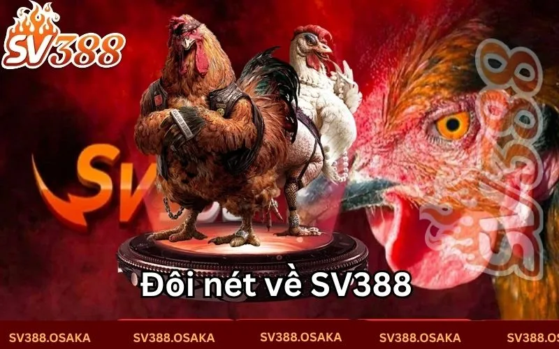 Đôi nét về nền tảng đá gà SV388 Đôi nét về nền tảng đá gà SV388