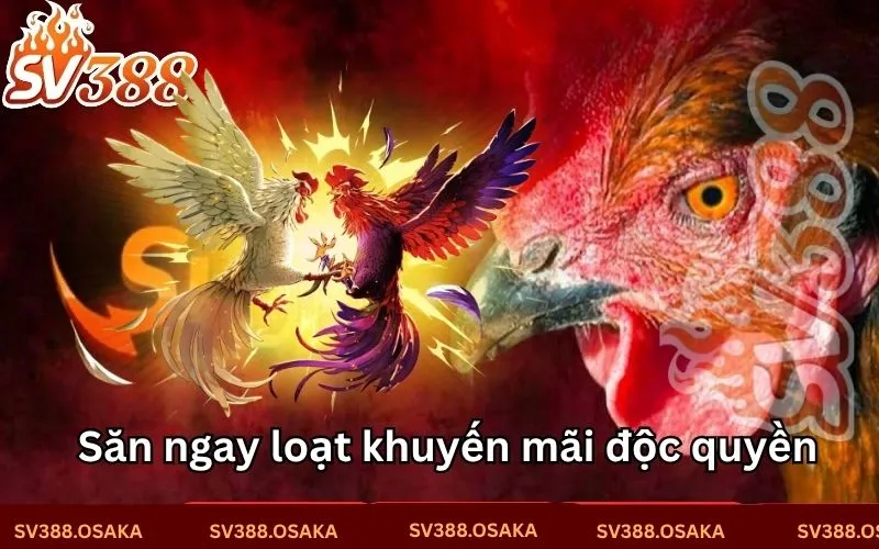 Săn ngay loạt khuyến mãi độc quyền tại SV388 Săn ngay loạt khuyến mãi độc quyền tại SV388